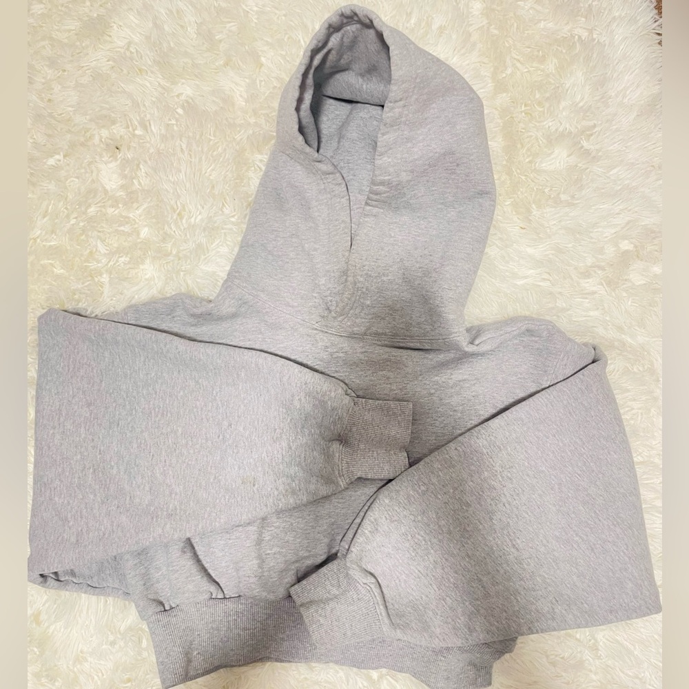 Aritzia TNA The Super Crop Hoodie GRAY